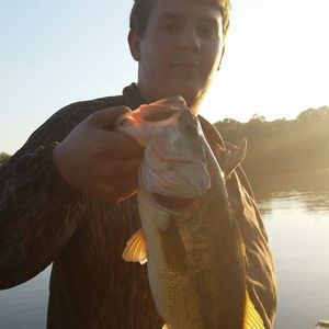 Meet your Posher, Landon